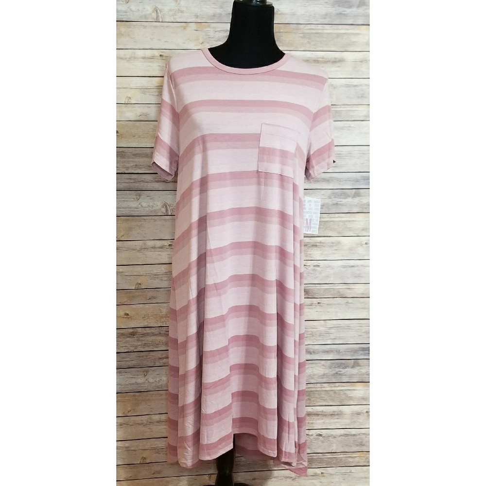 Medium LuLaRoe Carly NWT